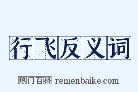 行飞反义词是什么意思的图片